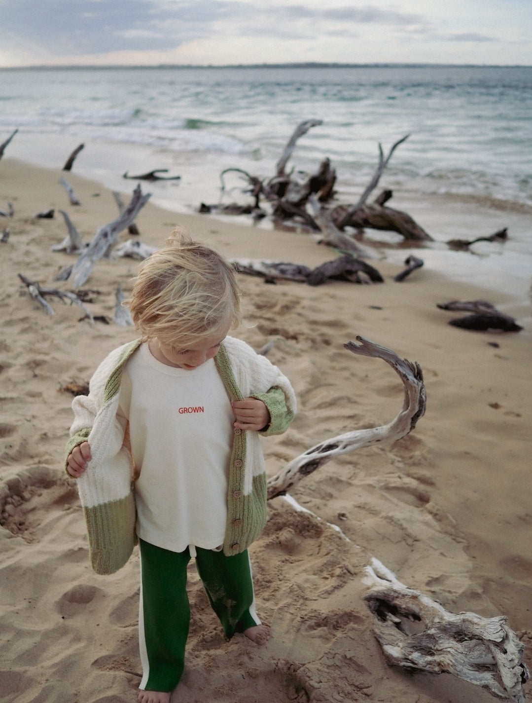Merino Wool Cardigan - Sage/Milk