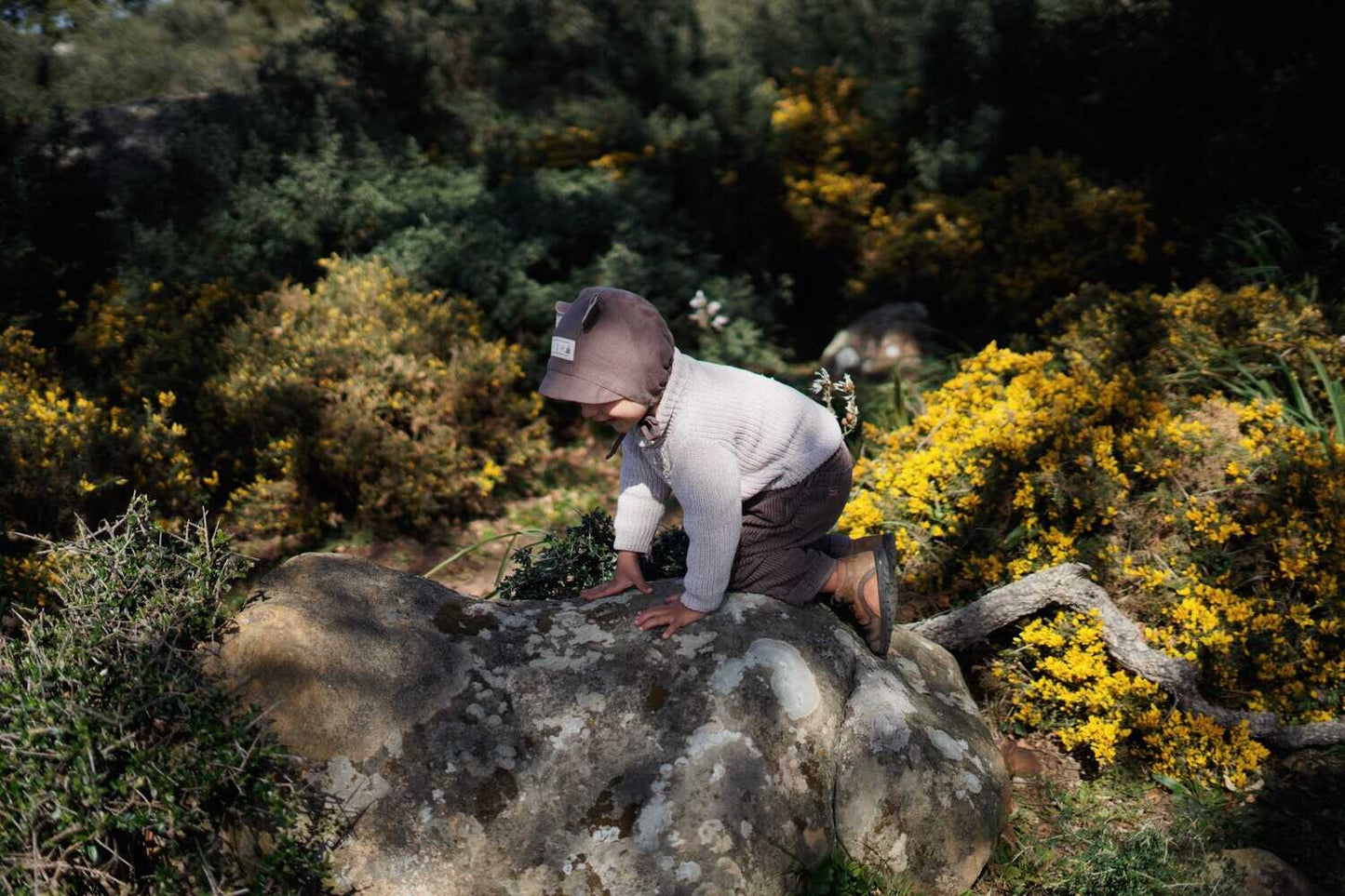 【LAST ONE】SOIL BEAR BONNET