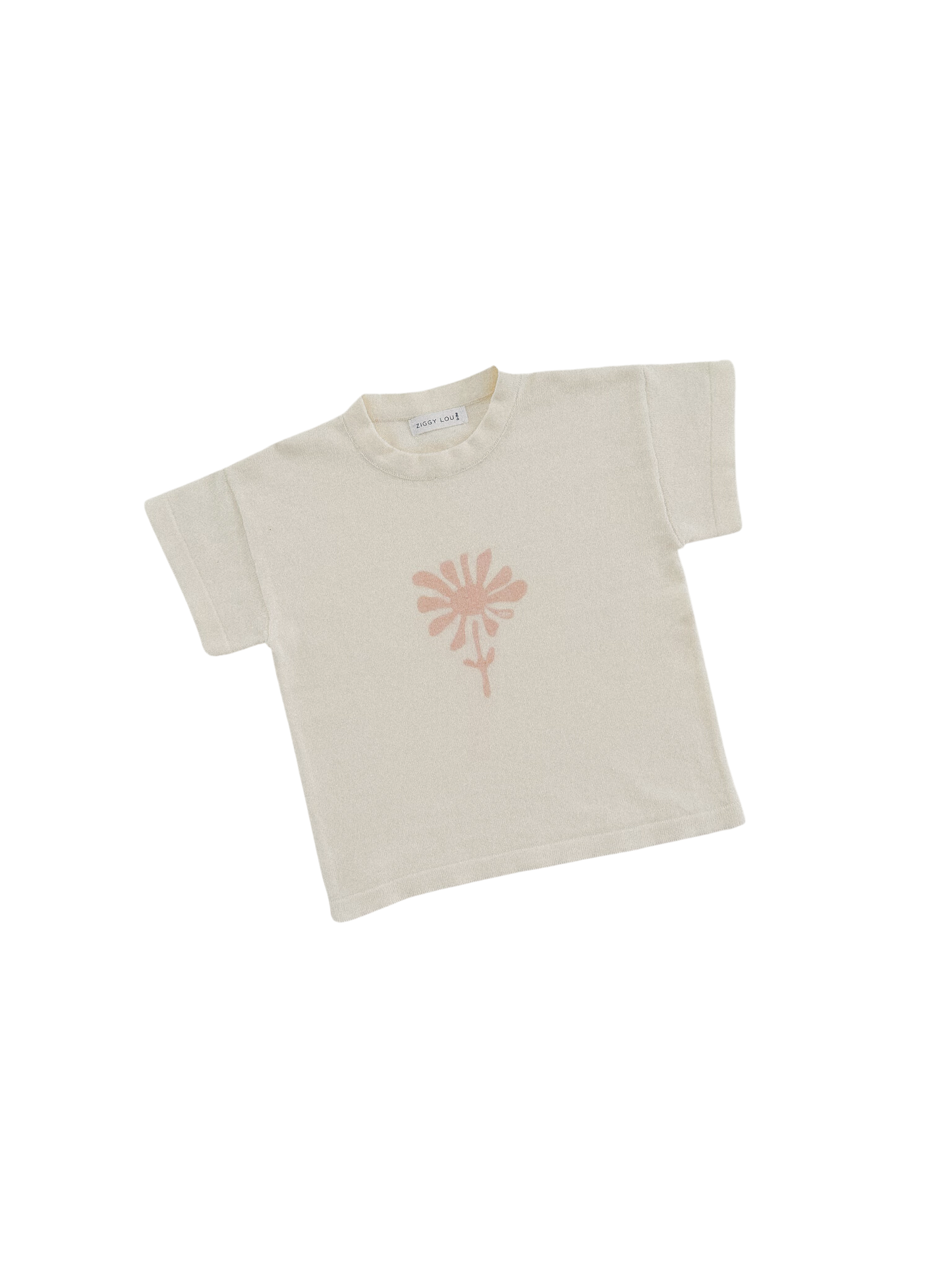 【LAST ONE】TEE | ASTER