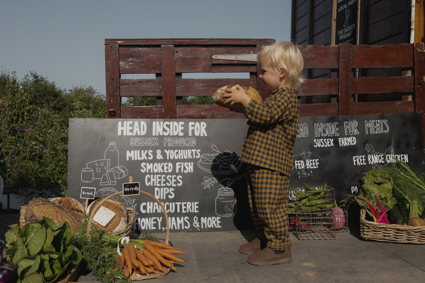 【LAST ONE】Blueberry Gingham Carrot Pants