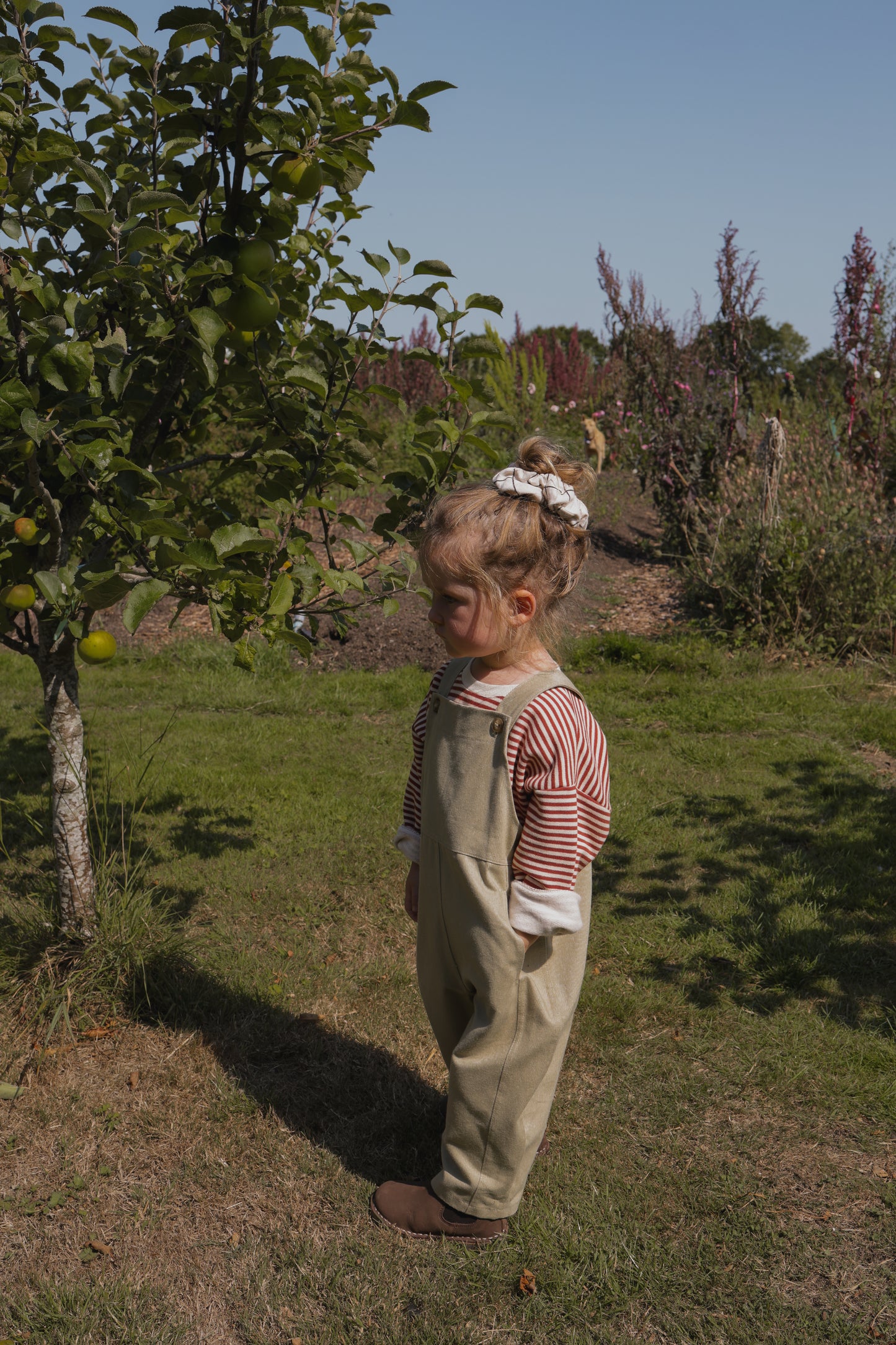 【LAST TWO】Seasalt Farmer Dungarees