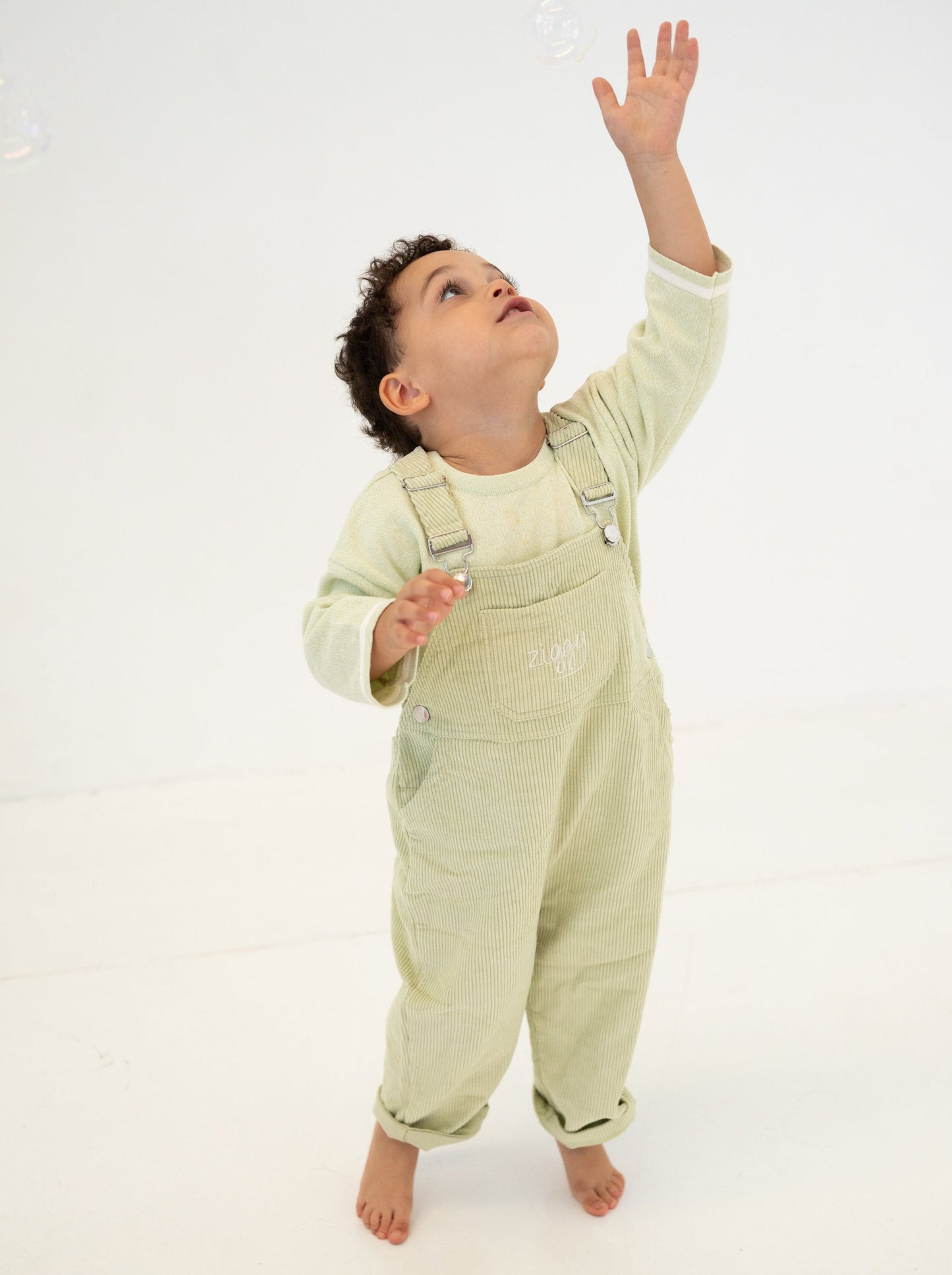 【LAST TWO】OVERALLS | LIME