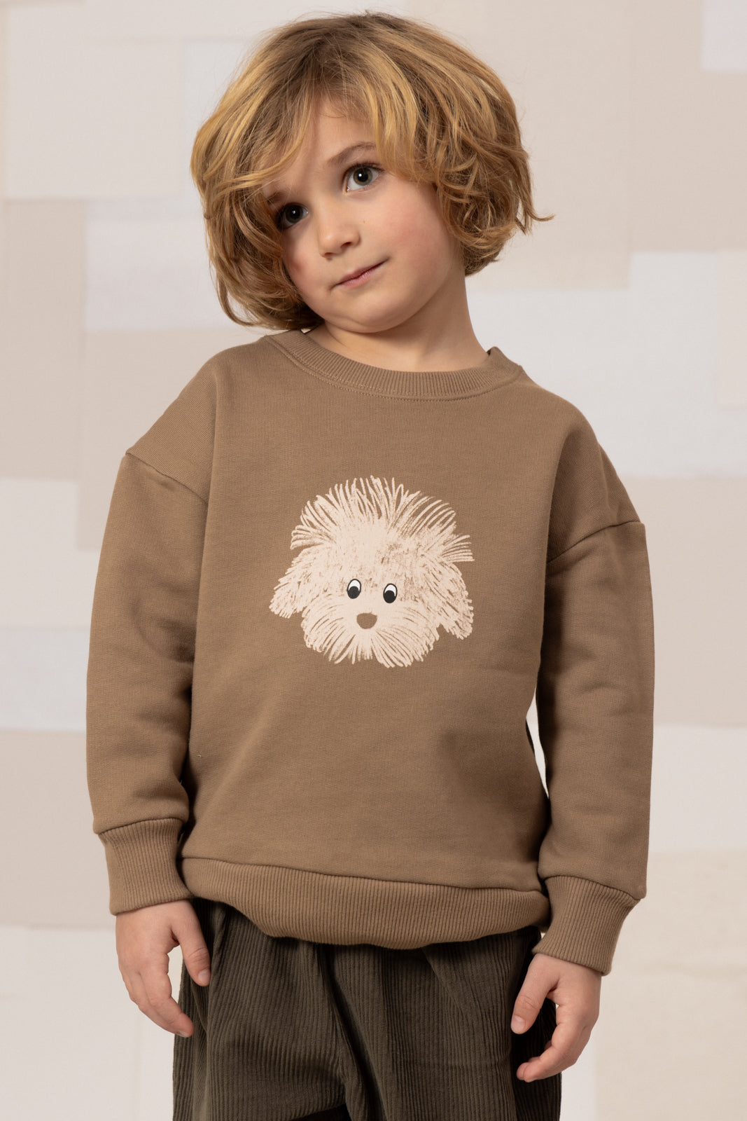 SWEATSHIRT BART MOCHA CHIEN