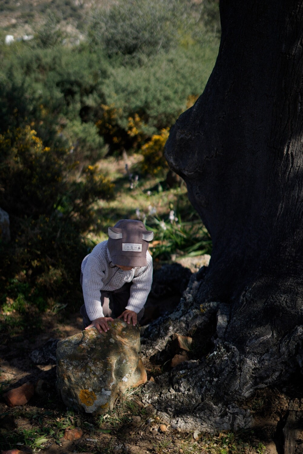 Ash Generation - SOIL BEAR BONNET