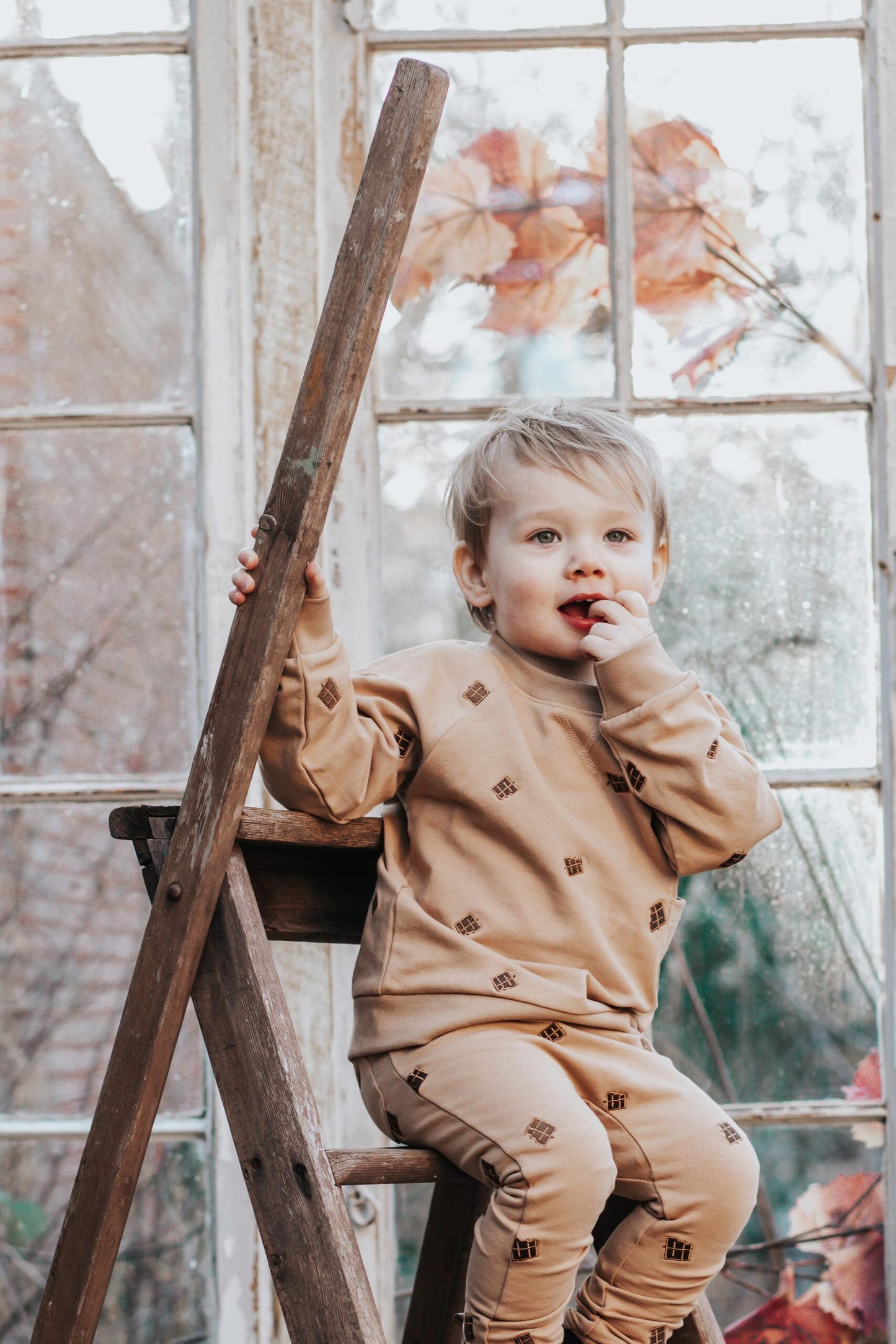 MONSIEUR MINI - Embroidery Chocolate Sweatshirt