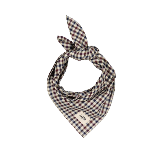 Foulard ALFRED - Vichy bleu & rouge