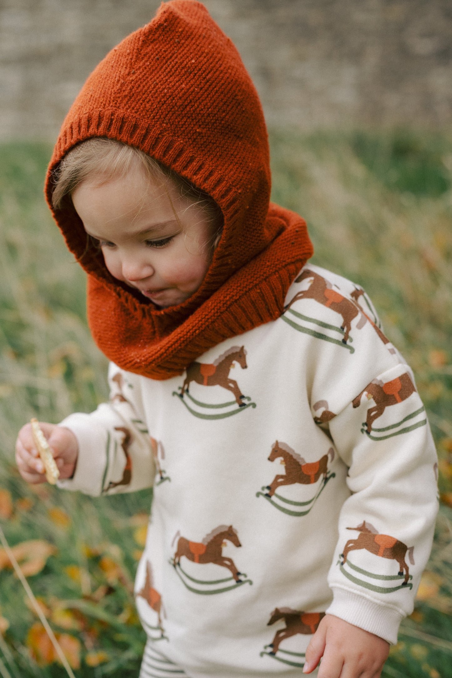 Rocking Horse Sweatshirt