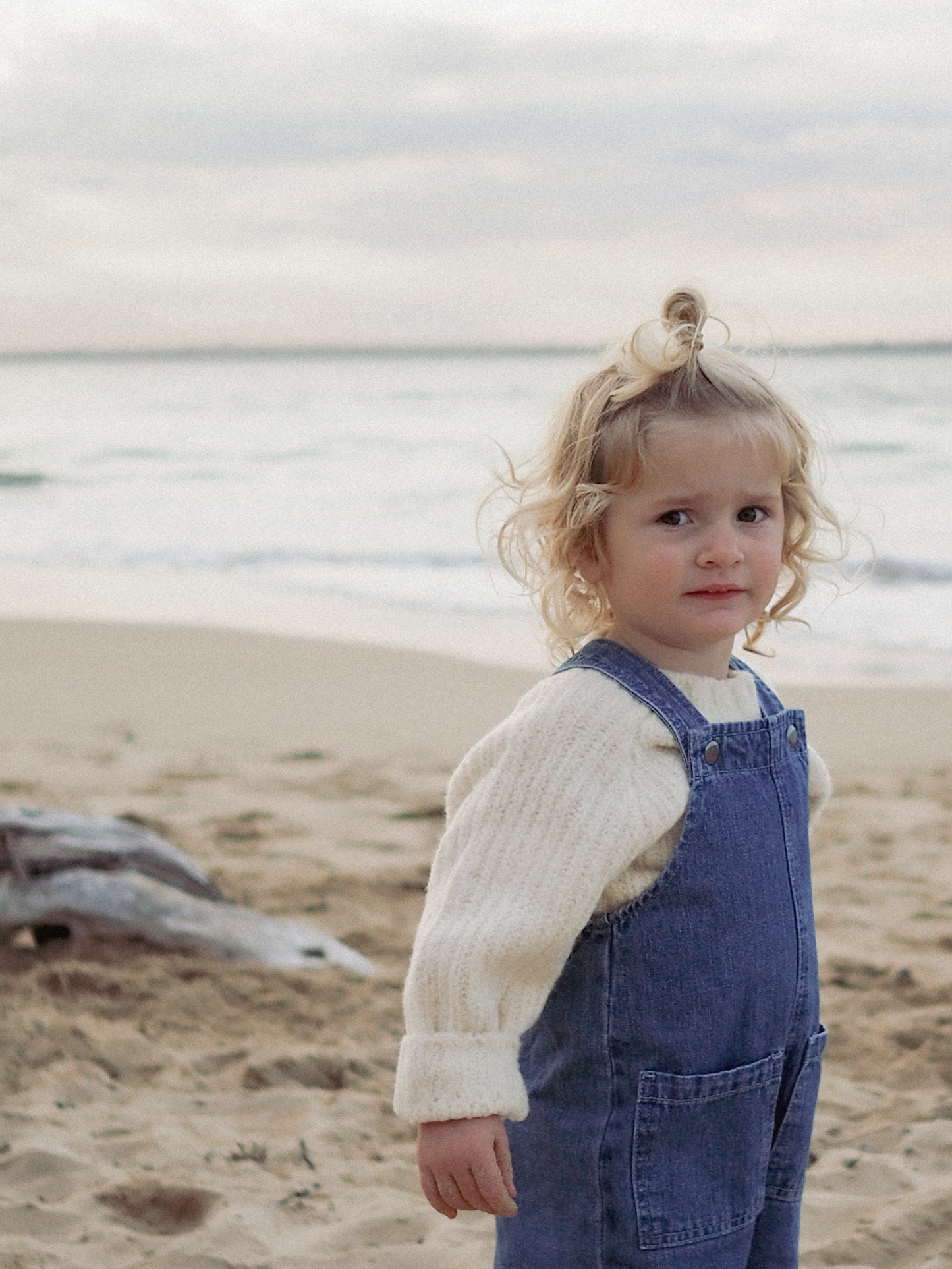 Everyday Hemp Denim Overalls - Denim