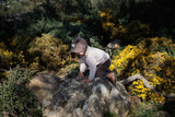 Ash Generation - SOIL BEAR BONNET