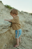 Knitted Linen Raglan Tee - Cedar